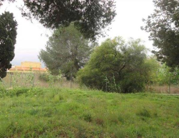 Terreno en carretera de les Marines a Dénia