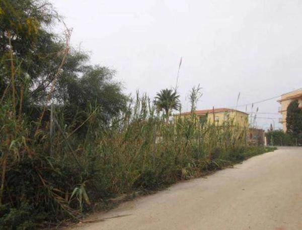 Terreno en carretera de les Marines a Dénia
