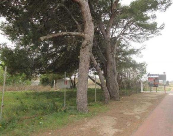 Terreno en carretera de les Marines a Dénia