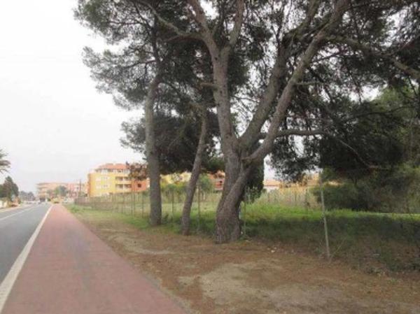 Terreno en carretera de les Marines a Dénia