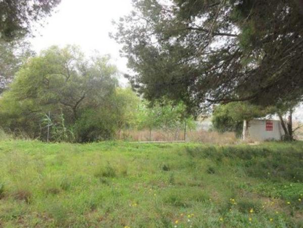 Terreno en carretera de les Marines a Dénia