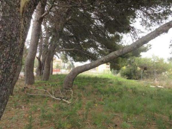 Terreno en carretera de les Marines a Dénia