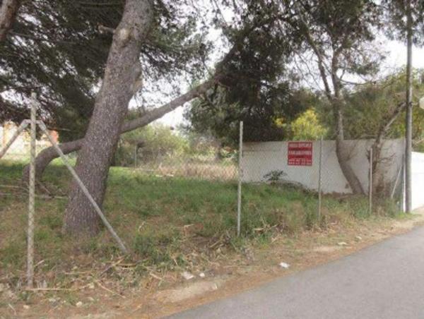 Terreno en carretera de les Marines a Dénia