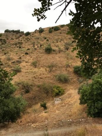 Terreno en camino Cortijo Los Arias s/n Santarosalia