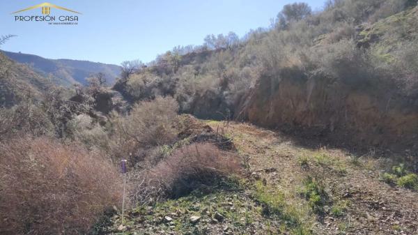 Terreno en Diseminado R5, 154