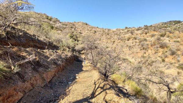 Terreno en Diseminado R5, 154