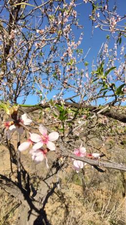 Terreno en Diseminado R5, 154