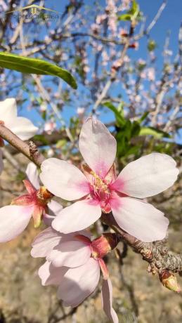 Terreno en Diseminado R5, 154