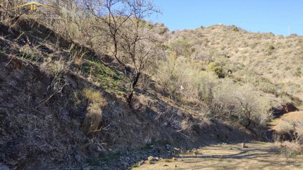 Terreno en Diseminado R5, 154