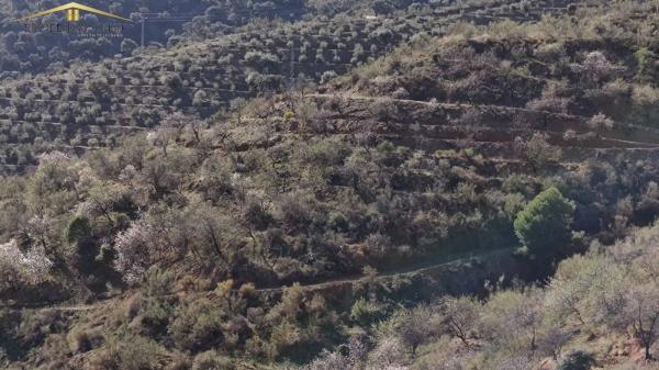 Terreno en Diseminado R5, 154