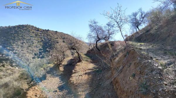 Terreno en Diseminado R5, 154