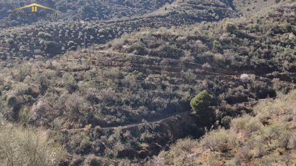 Terreno en Diseminado R5, 154