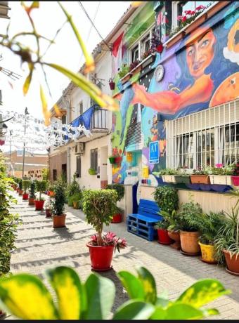 Terreno en calle Rosarito, 6