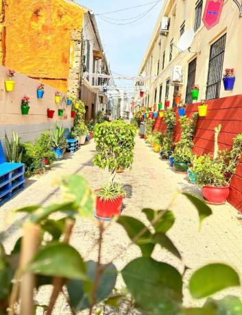 Terreno en calle Rosarito, 6