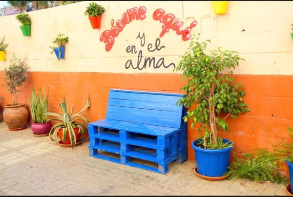 Terreno en calle Rosarito, 6