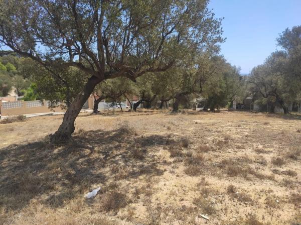 Terreno en calle Sésamo, 17