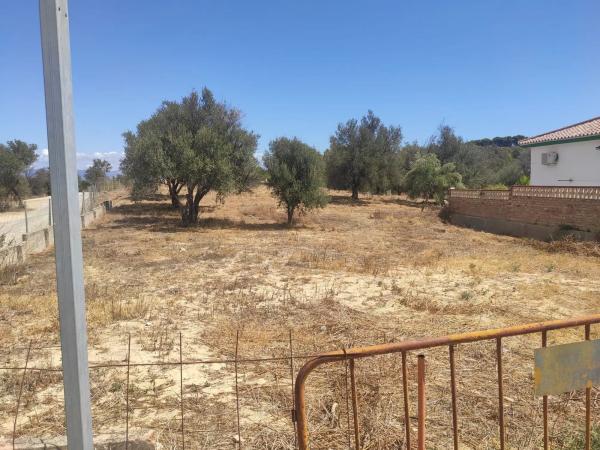 Terreno en calle Sésamo, 17