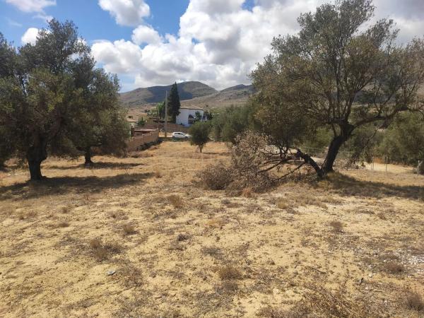 Terreno en calle Sésamo, 17