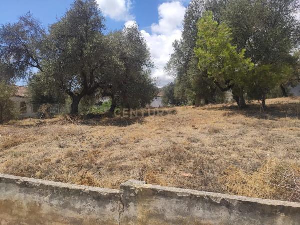 Terreno en calle Sésamo, 17