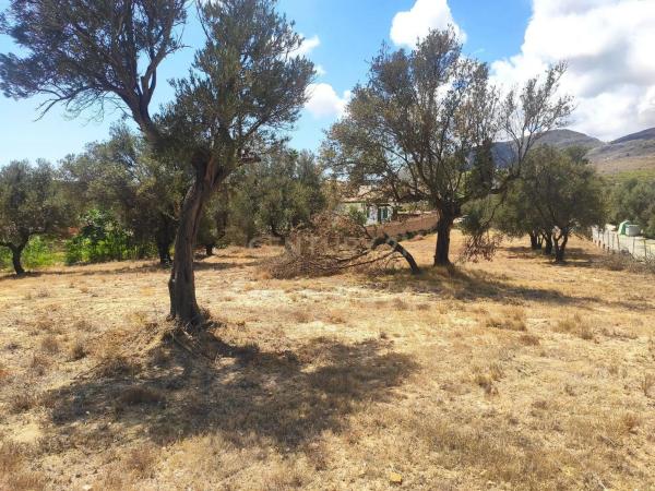 Terreno en calle Sésamo, 17