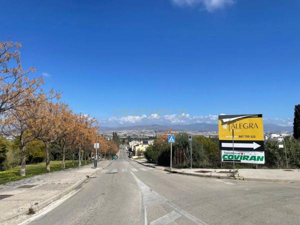 Terreno en camino de la Huerta, 1