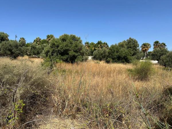 Terreno en calle Angola