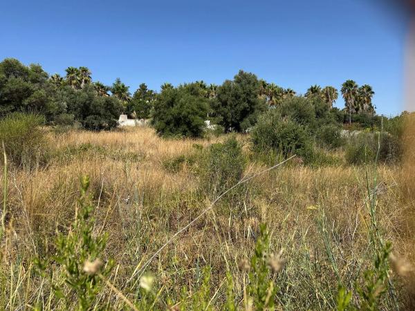 Terreno en calle Angola