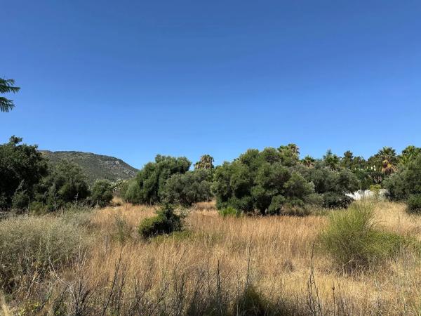 Terreno en calle Angola