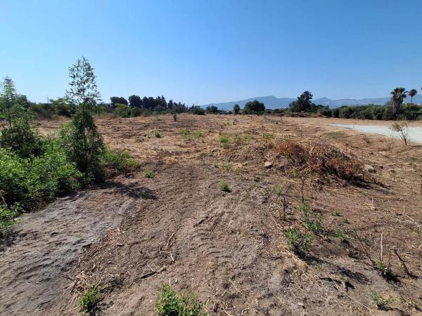 Terreno en Barrio Campanillas