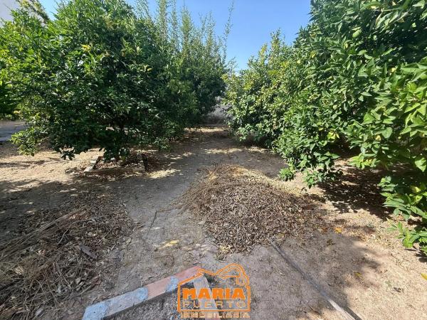 Terreno en Barrio Fuente Alegre - El Chaparral - Los Morales