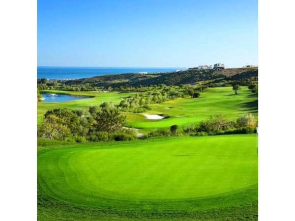 Terreno en Urbanizacion Majestic, 7