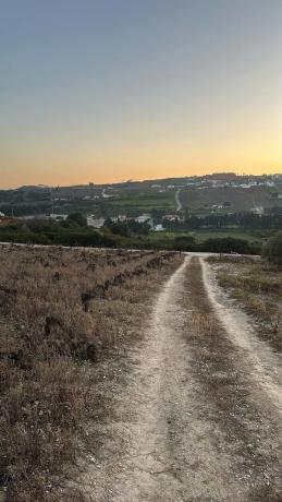 Terreno en Poligono Bellota s/n