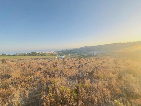 Terreno en Poligono Bellota s/n