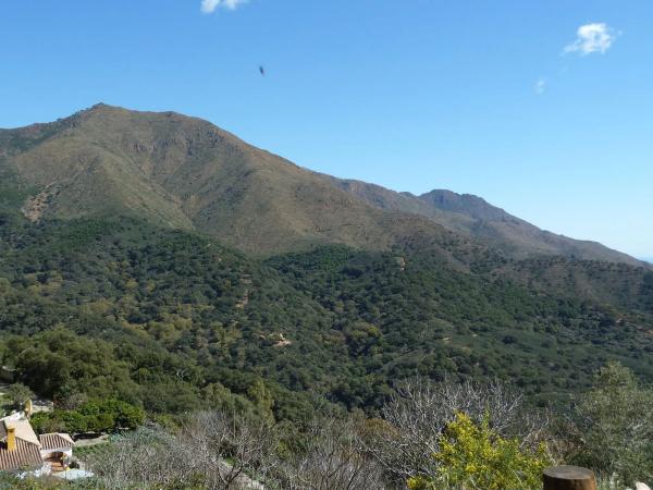 Terreno en Lugar Celima, 30