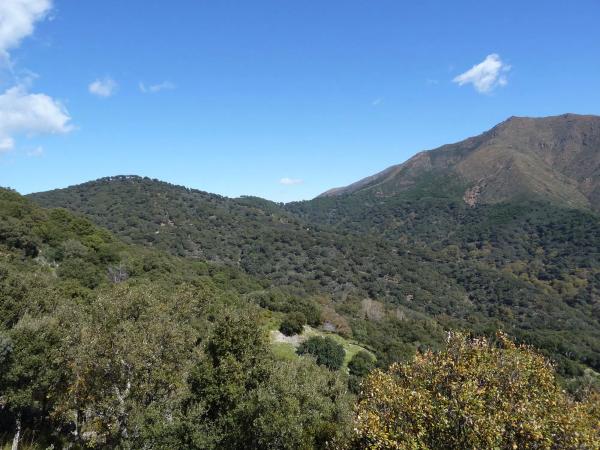 Terreno en Lugar Celima, 30