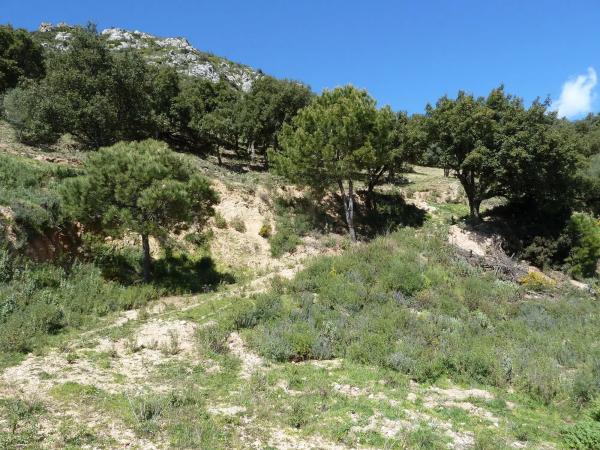 Terreno en Lugar Celima, 2