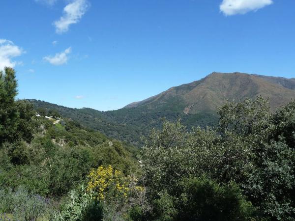 Terreno en Lugar Celima, 2