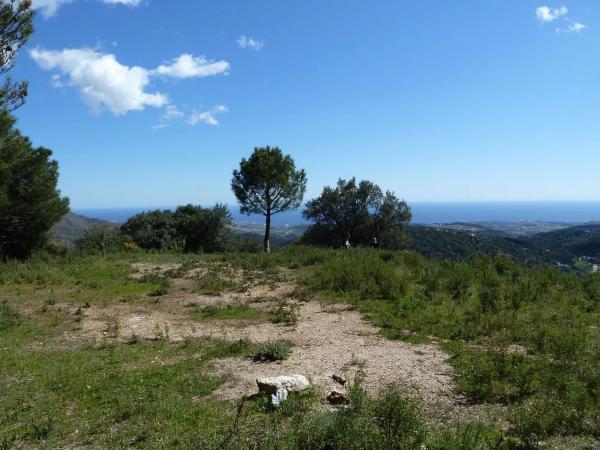 Terreno en Lugar Celima, 2