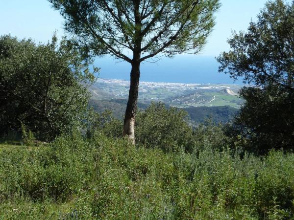 Terreno en Lugar Celima, 2