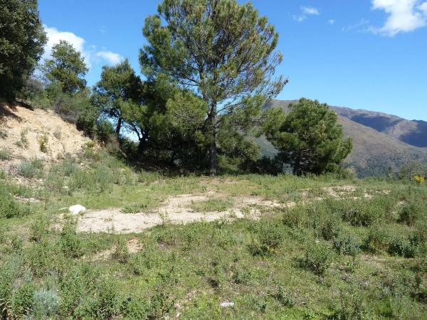 Terreno en Lugar Celima, 2