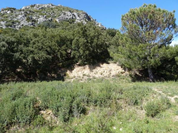 Terreno en Lugar Celima, 2