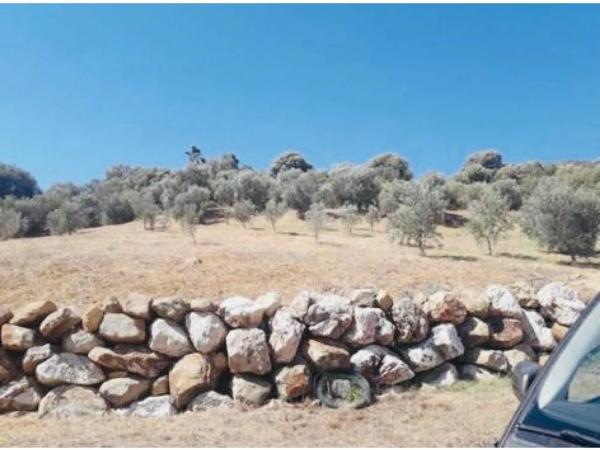 Terreno en Altos de Estepona