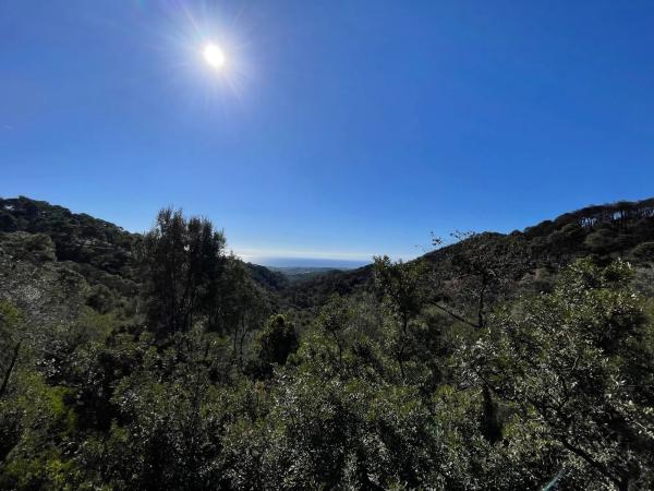 Terreno en loma del monte, 15