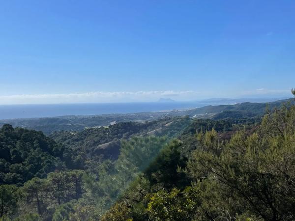 Terreno en loma del monte, 15