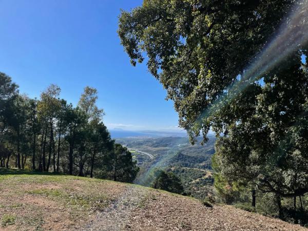 Terreno en loma del monte, 15