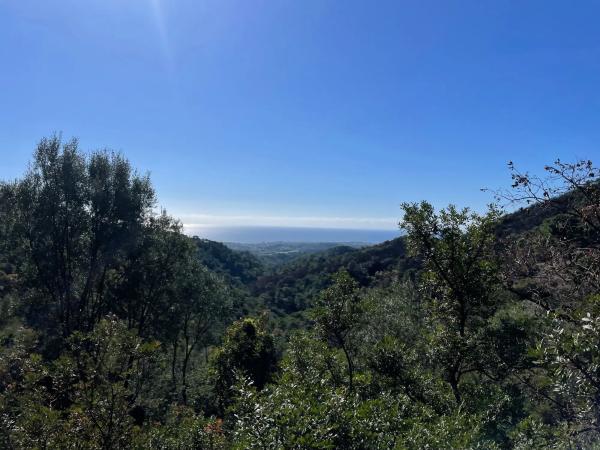 Terreno en loma del monte, 15