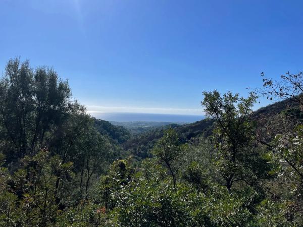 Terreno en loma del monte, 15