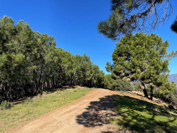 Terreno en loma del monte, 15