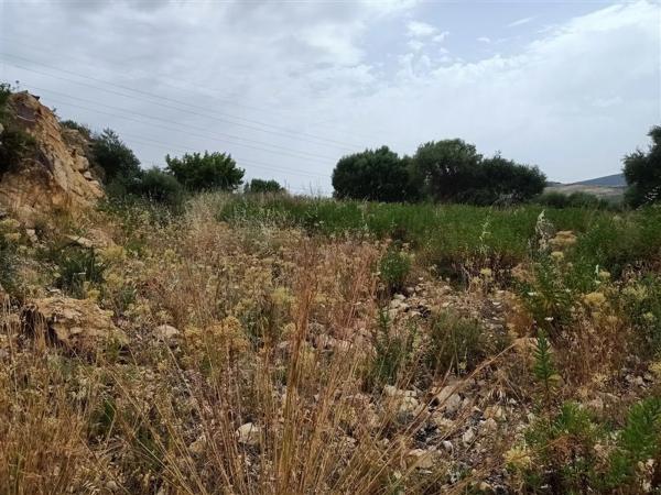 Terreno en Pista Colada de los Molinos a E, 176