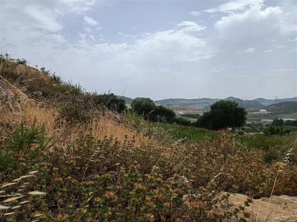 Terreno en Pista Colada de los Molinos a E, 176